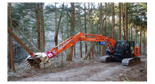 高性能林業機械による伐倒